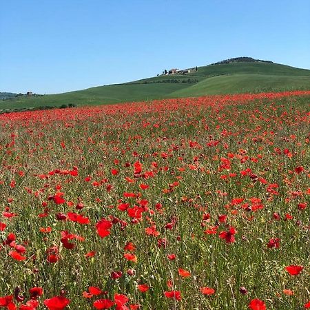 Agriturismo Poggio Tobruk Pienza Ngoại thất bức ảnh