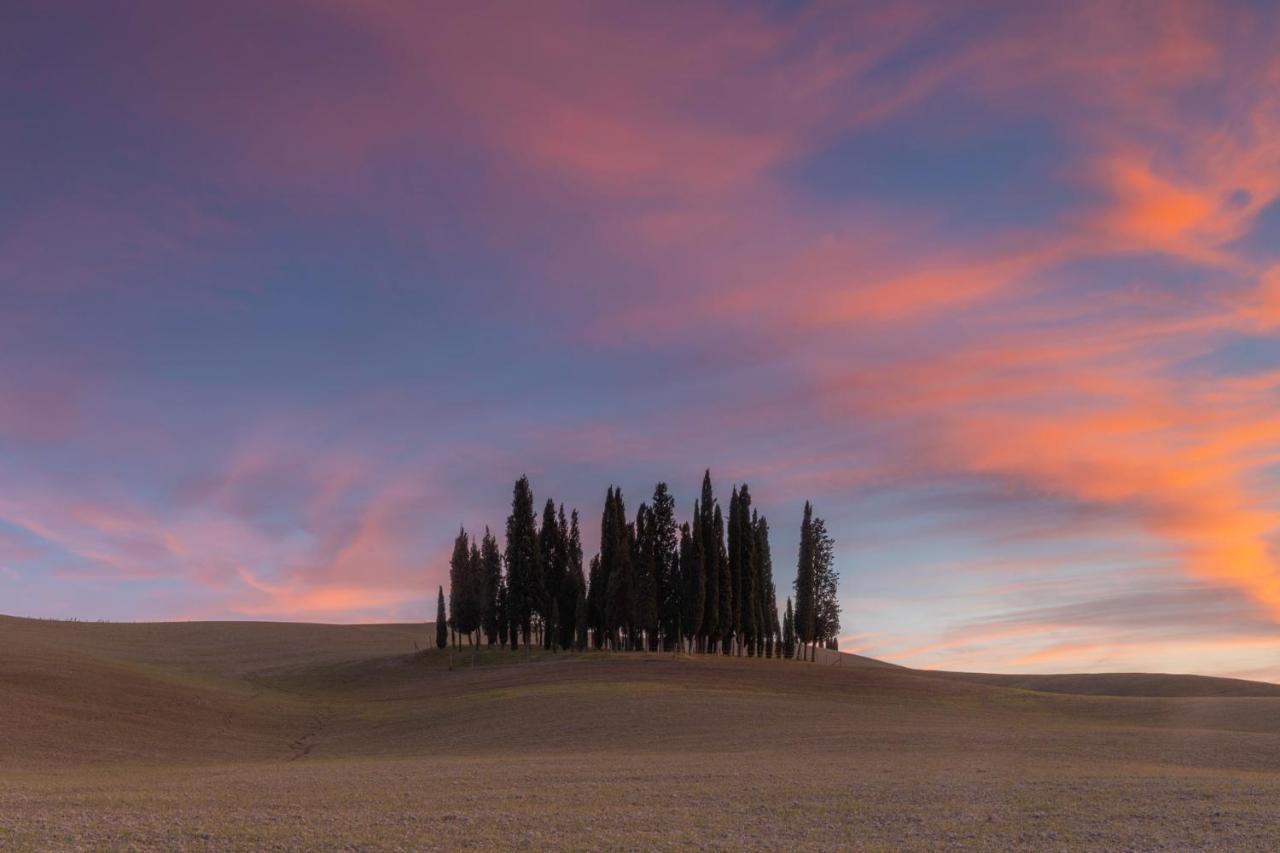 Agriturismo Poggio Tobruk Pienza Ngoại thất bức ảnh