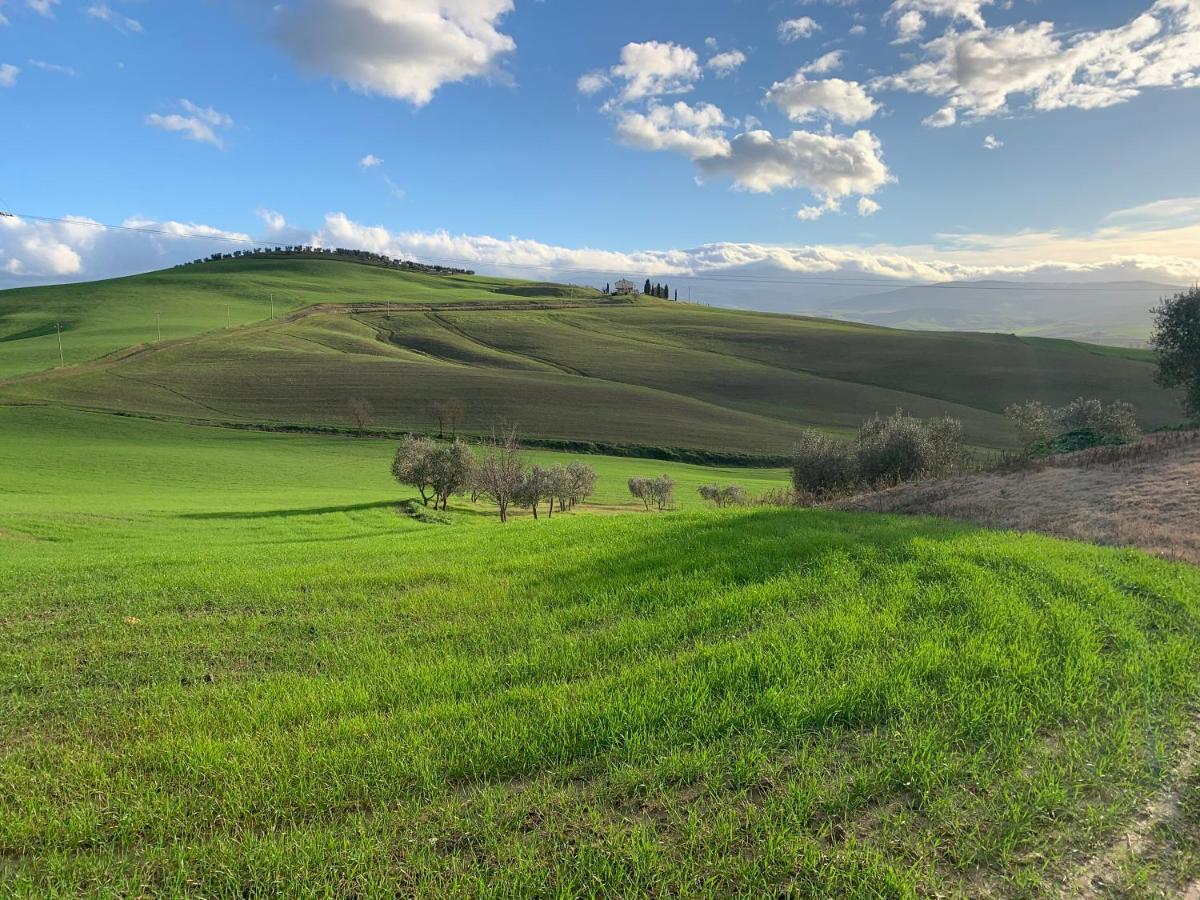Agriturismo Poggio Tobruk Pienza Ngoại thất bức ảnh