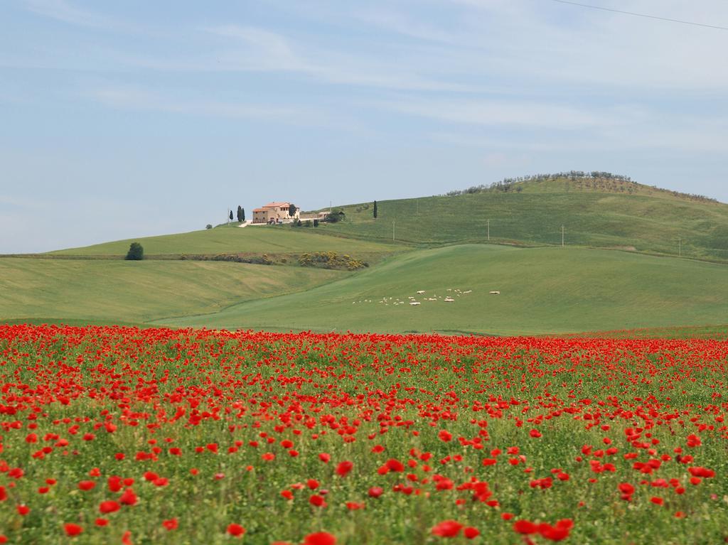 Agriturismo Poggio Tobruk Pienza Ngoại thất bức ảnh