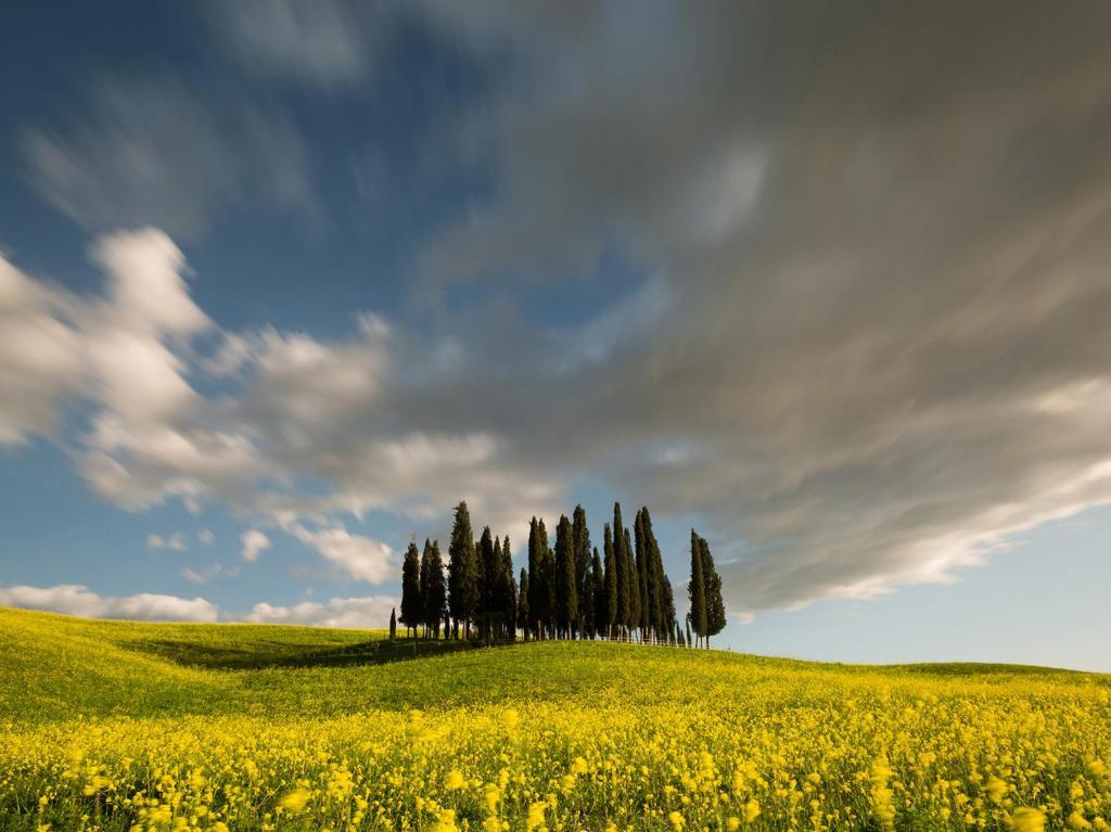 Agriturismo Poggio Tobruk Pienza Ngoại thất bức ảnh