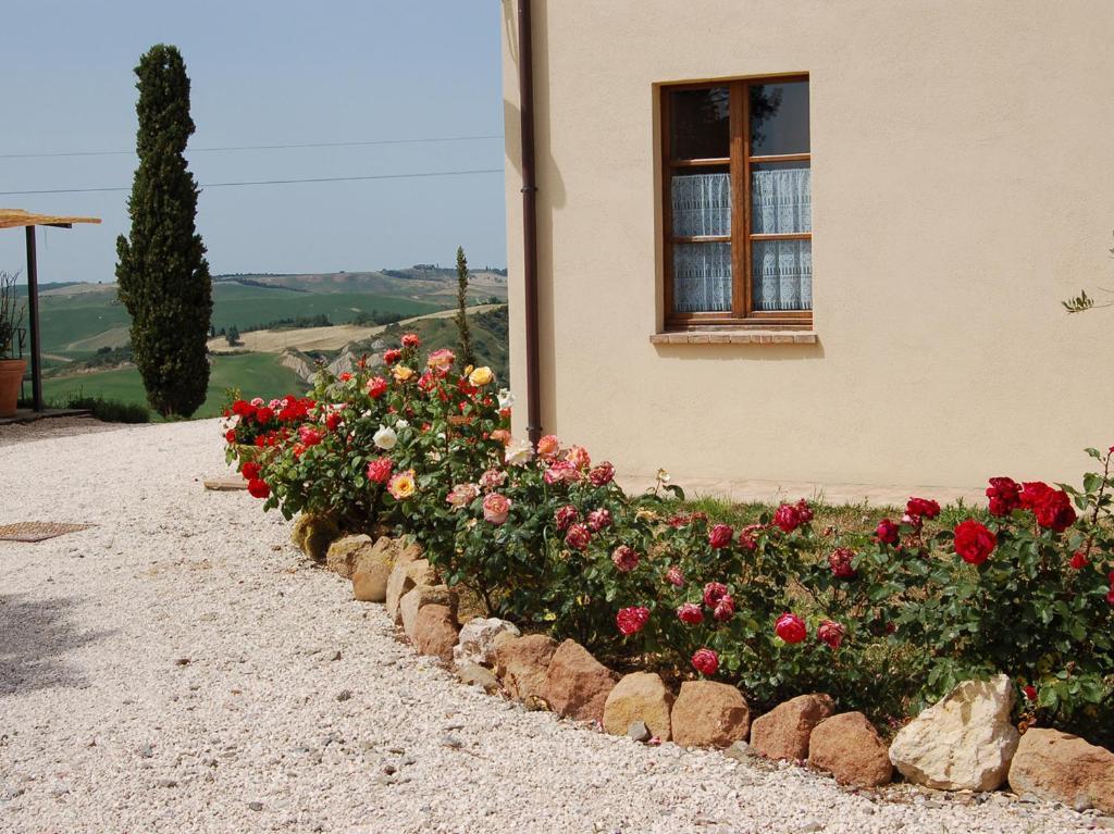 Agriturismo Poggio Tobruk Pienza Ngoại thất bức ảnh